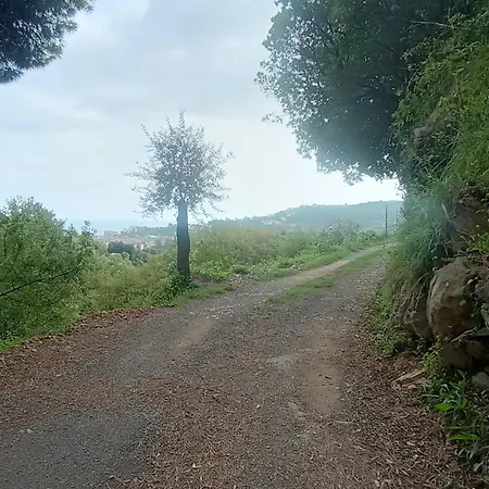 Casa Artigena * Rapallo